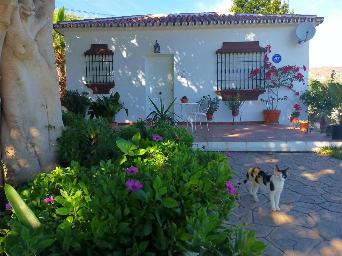 Paraje El Pozo Μάλαγα Εξωτερικό φωτογραφία