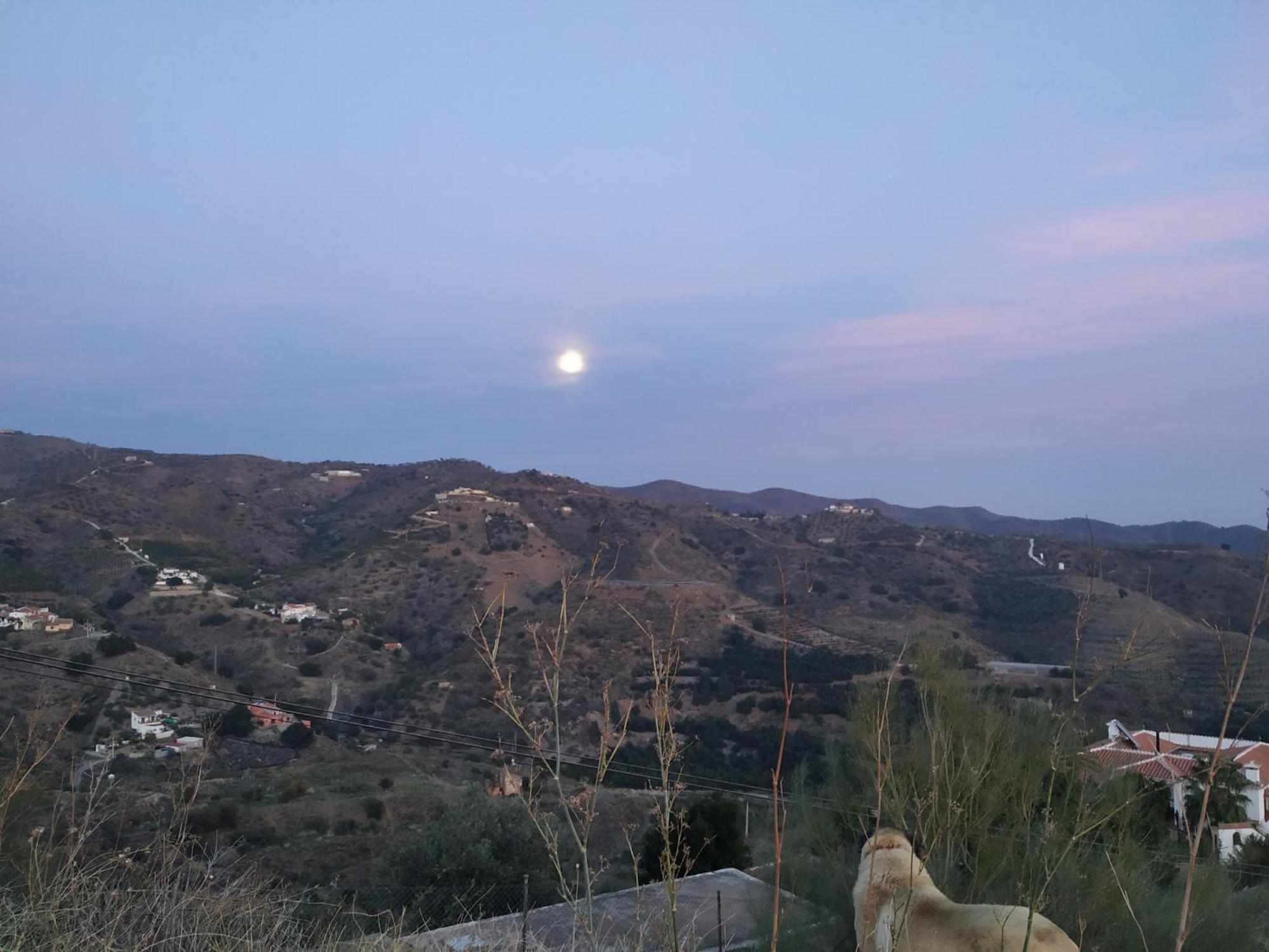 Paraje El Pozo Μάλαγα Εξωτερικό φωτογραφία