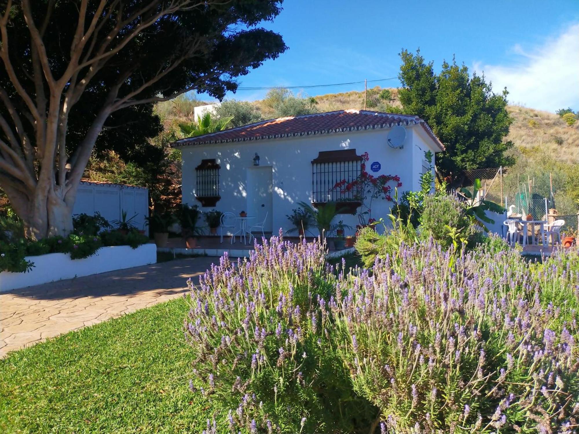 Paraje El Pozo Μάλαγα Εξωτερικό φωτογραφία