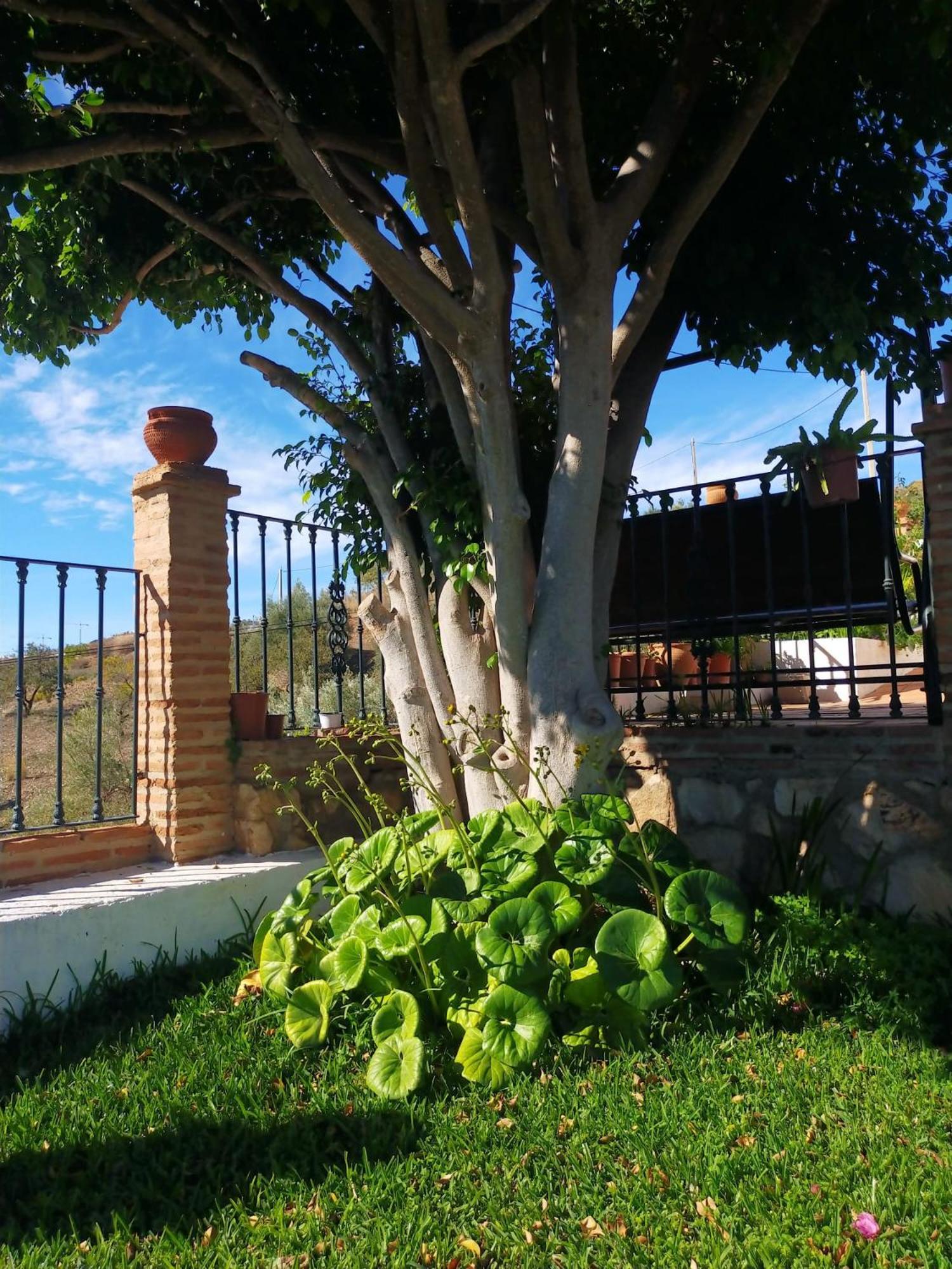 Paraje El Pozo Μάλαγα Εξωτερικό φωτογραφία
